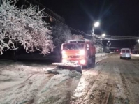 снегопад 190122