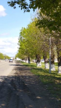 субботник 2204