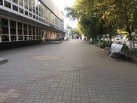 санитарка