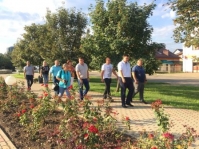 санитарка