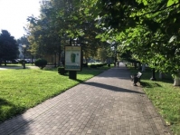 санитарка