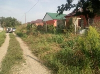 амброзия