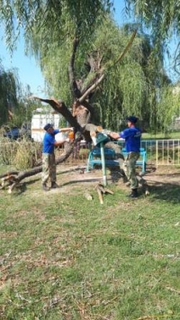 благоустройство 2608