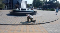 благоустройство 2608