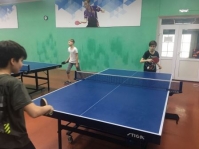 ракетка