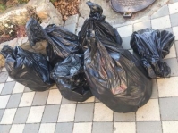 детский субботник 081121