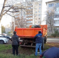 вывоз шин 081121