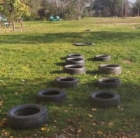 вывоз шин 081121