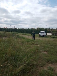 покос травы 1009