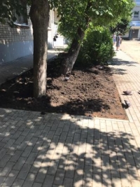 комфортная среда