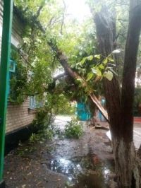 Последствия ветра