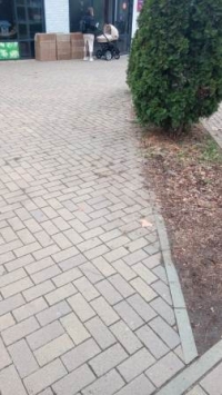 осенние хлопоты