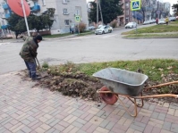 осенние хлопоты