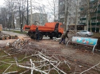 уборка деревьев