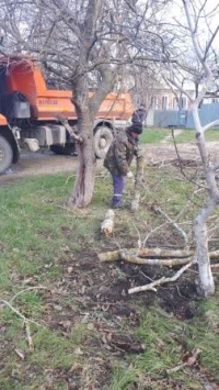 уборка деревьев