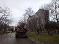 уборка деревьев