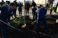 прокурорская аллея