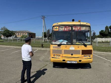 автобусы2