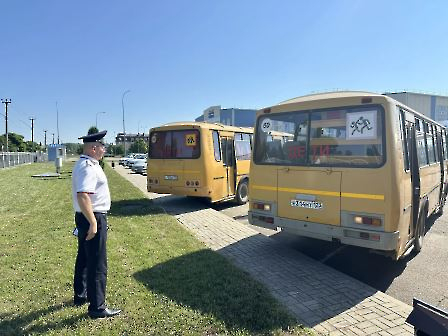 автобусы2