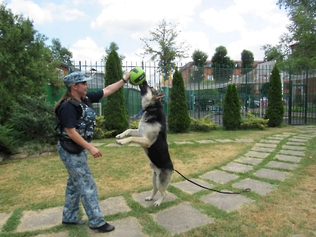 кинолог