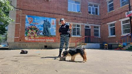 клоуны