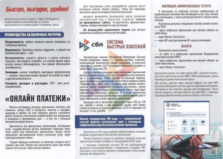 3008 сбп 2
