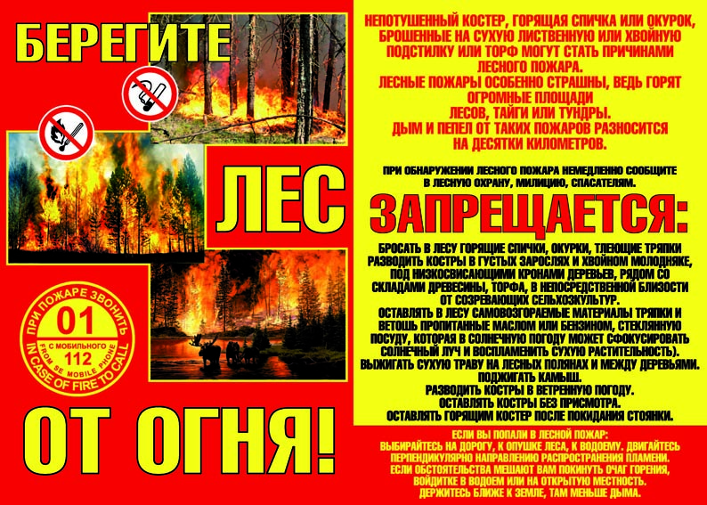 Памятка_берегите_лес.jpg